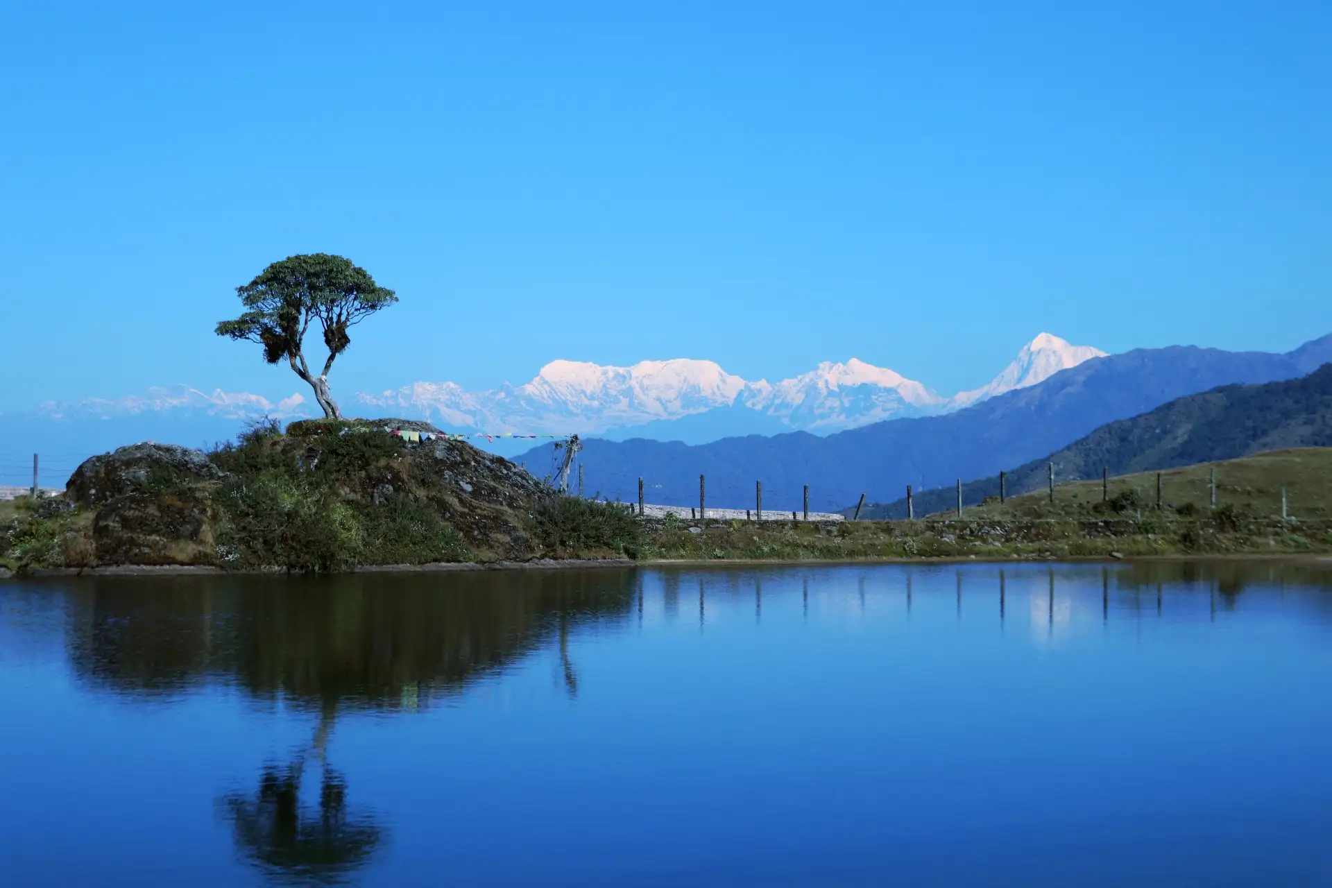 Rhododendron forests around Gufa Pokhari in eastern Nepal